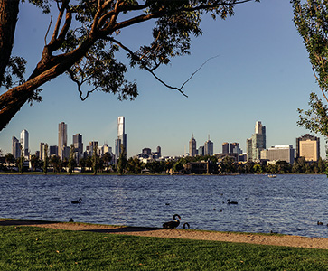 Learn The Truth About Real Estate Industry